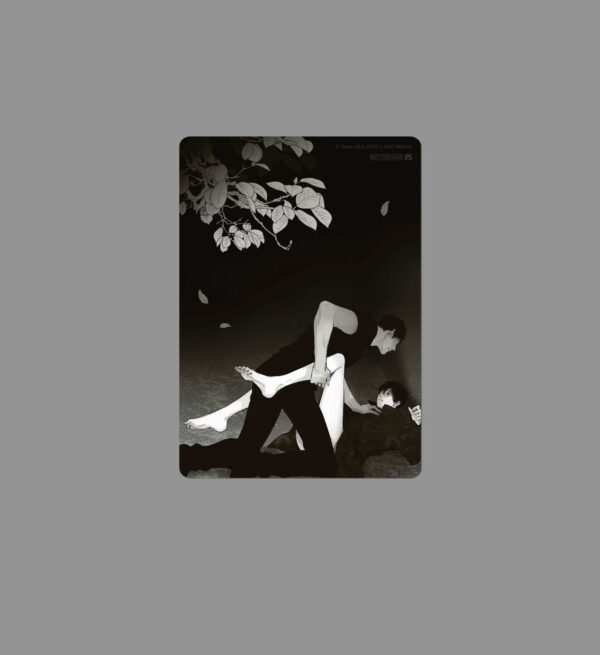 【現貨/赠加固包装】RADIO STORM | TeamS&S | 平心 | 韩漫 | BL