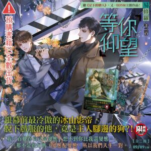 等你仰望 【現貨/赠加固包装】等你仰望 | 豎排 | 易修羅 | 平心 | 原耽 | 无删减 | BL