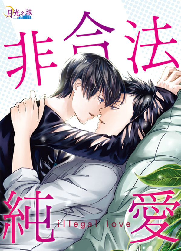 【現貨/赠加固包装】非合法純愛｜非合法纯爱｜泠豹芝 | 新月&邀月&藍海 | 原耽 | BL