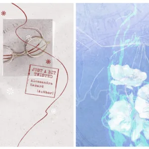 【現貨/赠加固包装】輕度上癮+有點傲嬌 | 轻度上瘾+有点傲娇 | Alessandra Hazard | ViaLactea | 北美呆鹅 | 原耽 | 无删减 | BL