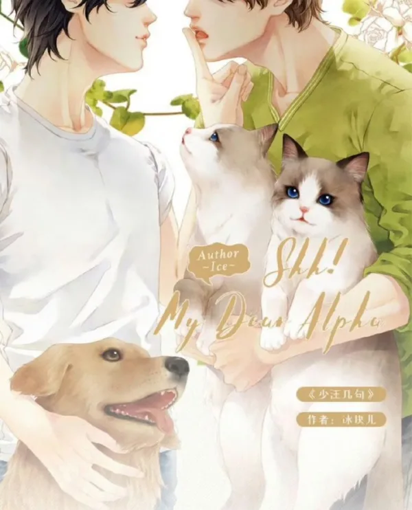 【現貨/赠加固包装】少汪幾句 | 少汪几句 | Shh! My Dear Alpha | 通贩版 | 冰块儿 | ViaLactea | 北美呆鹅 | 原耽 | 无删减 | BL