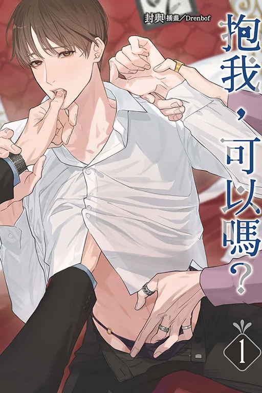 【現貨/赠加固包装】抱我，可以嗎? | 抱我，可以吗? | 首刷附錄版 | 封與 | 東立 | 小說 | BL