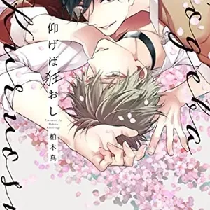 【預售/贈加固包装/0803截止】狂亂的仰慕之情(全) | 狂乱的仰慕之情(全) | 柏木真 | 東立 | 日漫 | BL | 不可合併其他項目書籍下單
