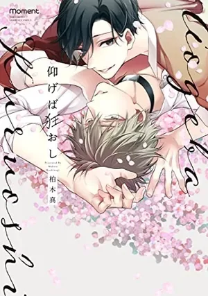 【預售/贈加固包装/0803截止】狂亂的仰慕之情(全) | 狂乱的仰慕之情(全) | 柏木真 | 東立 | 日漫 | BL | 不可合併其他項目書籍下單