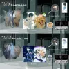 【預售/赠加固包装/0803截止】Don't Pick Up Boyfriends From the Trash Bin Vol.1+2 | 不要在垃圾桶裡撿男朋友 Vol.1+2 | 不要在垃圾桶里捡男朋友 Vol.1+2 | 英文版 | 騎鯨南去 | HaiTang(海棠英文) | 原耽 | BL | 不可合併其他品項下單